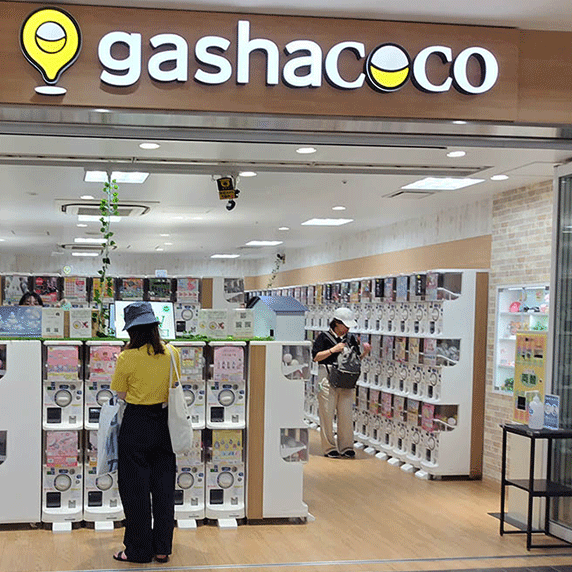 gashacoco